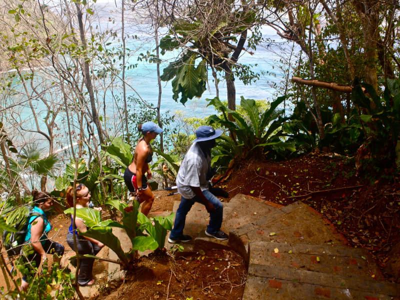 Tobago Tour Operators Peter Cox Nature Tours