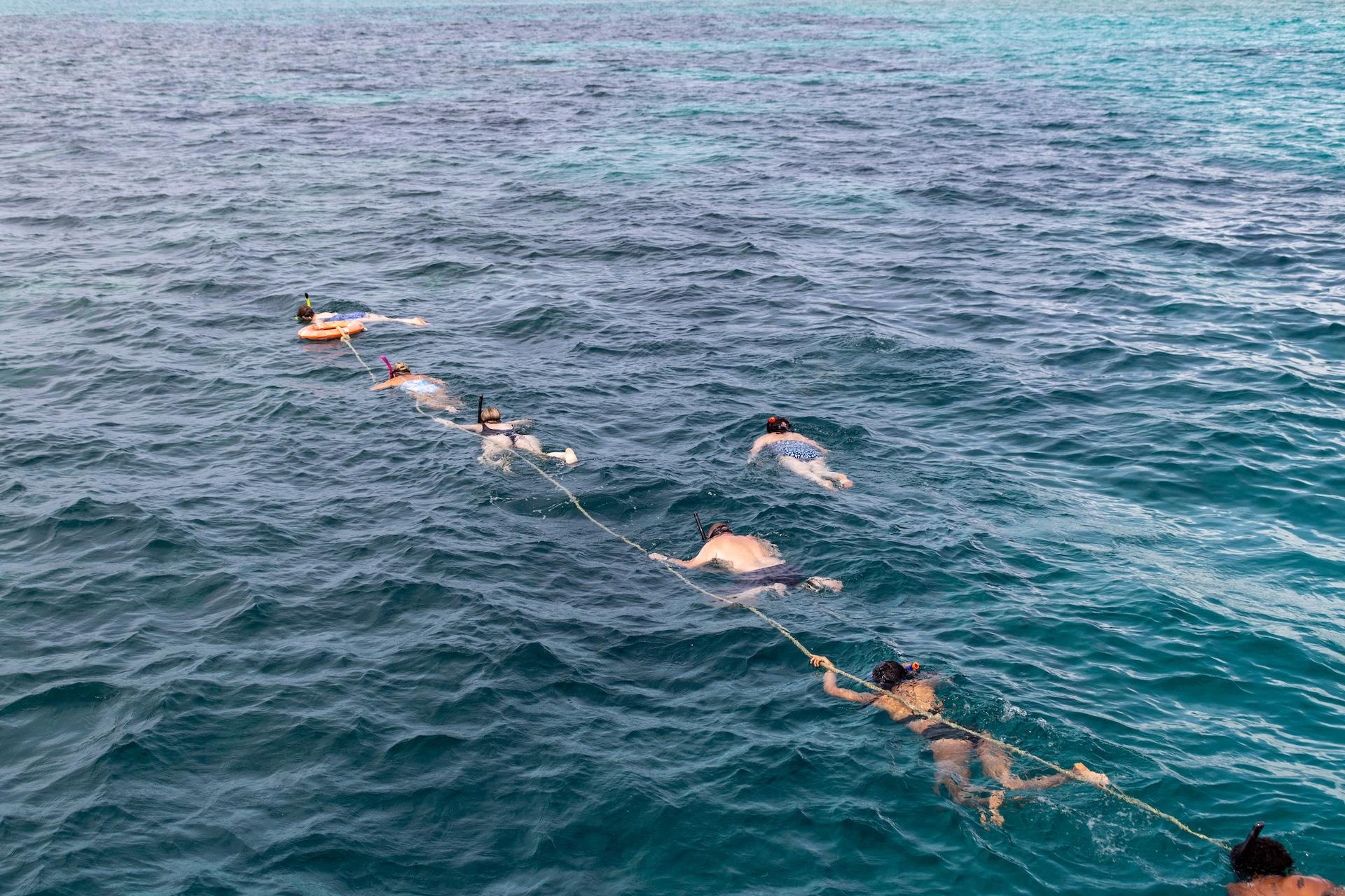 Best Places to Go Snorkelling in Tobago